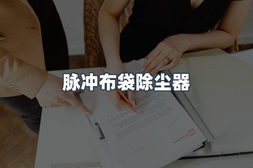 脉冲布袋除尘器